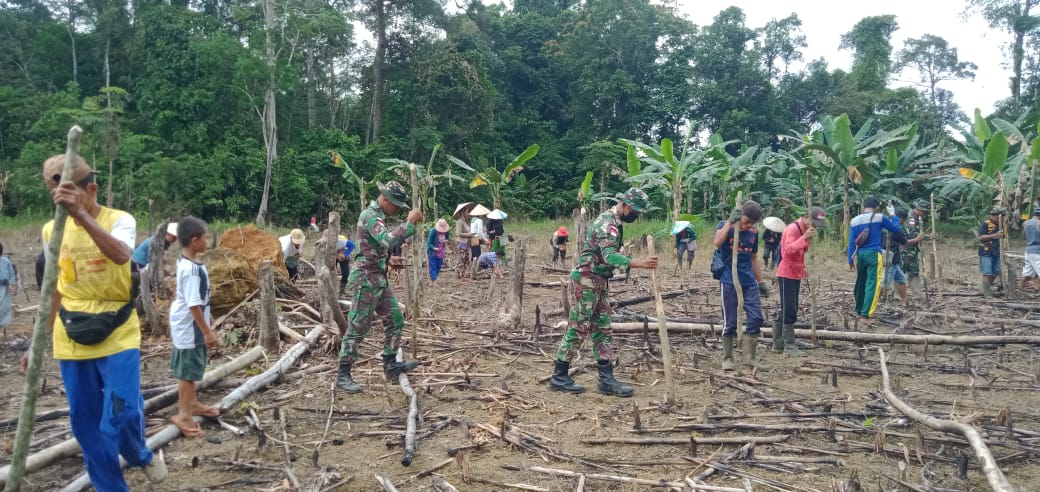 Dukung Ketahanan Pangan, Satgas Pamtas Yonif Mekanis 643/Wns Bantu Warga Tanam Padi Di Perbatasan