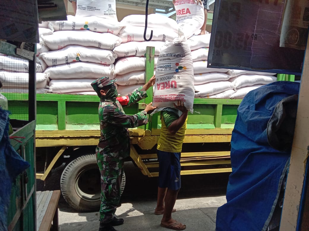 Cek Ketersediaan Pupuk Babinsa Mulyorejo Mendatangi Penjual Pupuk Di Wilayah Binaan