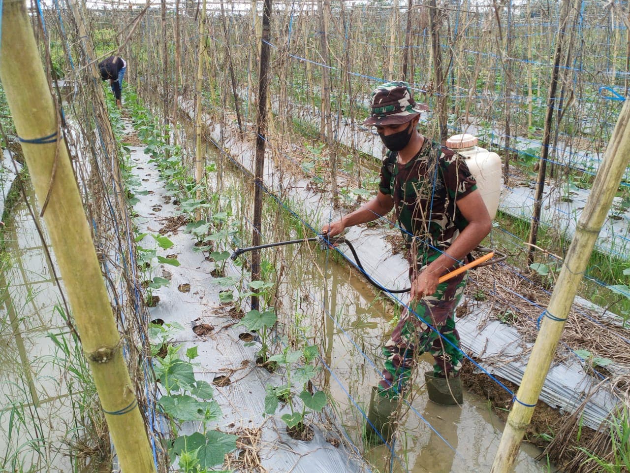 Selain Bantu Penyemprotan Gulma, Satgas TMMD Ingatkan Petani Terkait Larangan Membakar Hutan dan Lahan