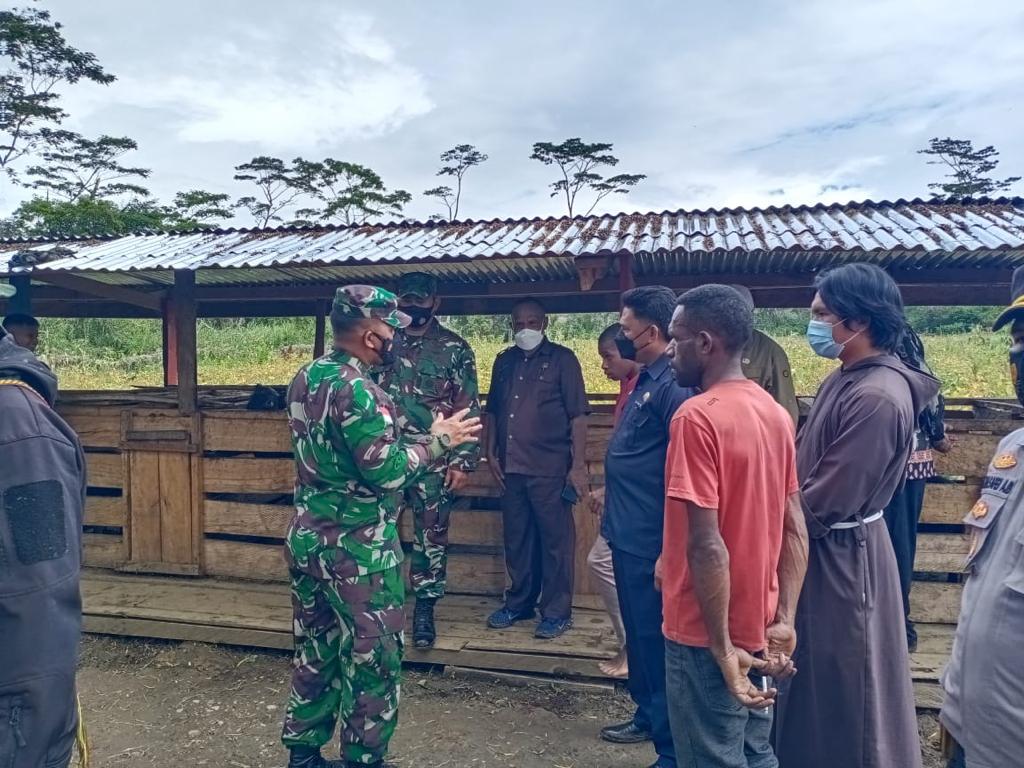 Kodim 1702/Jwy Serahkan Bantuan Kandang Babi dan Panen Kedelai Bersama Masyarakat Distrik Asslogaima