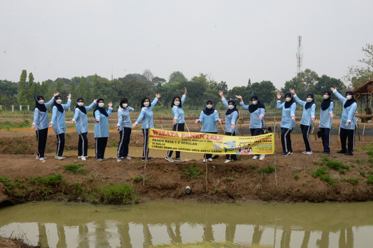 Ketua dan Pengurus PIA AG Cab. 2/D.I Lanud Halim Panen Padi dan Ikan Lele