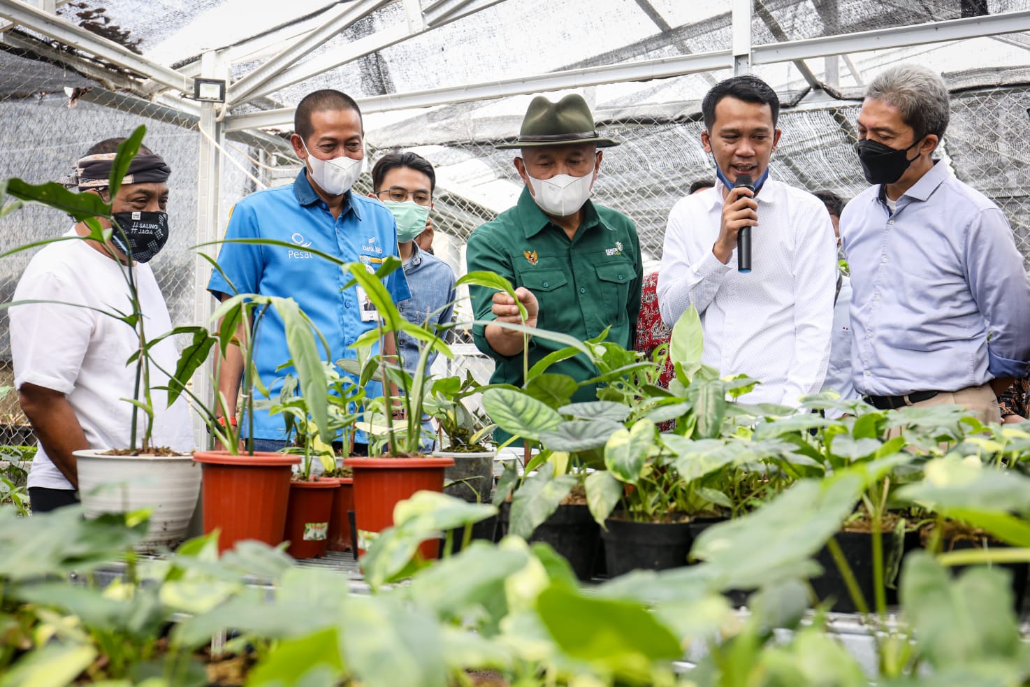 MenKopUKM Dukung Minaqu dan Koperasi Garap Potensi Pasar Tanaman Hias Dunia Sebesar Rp3.000 Triliun