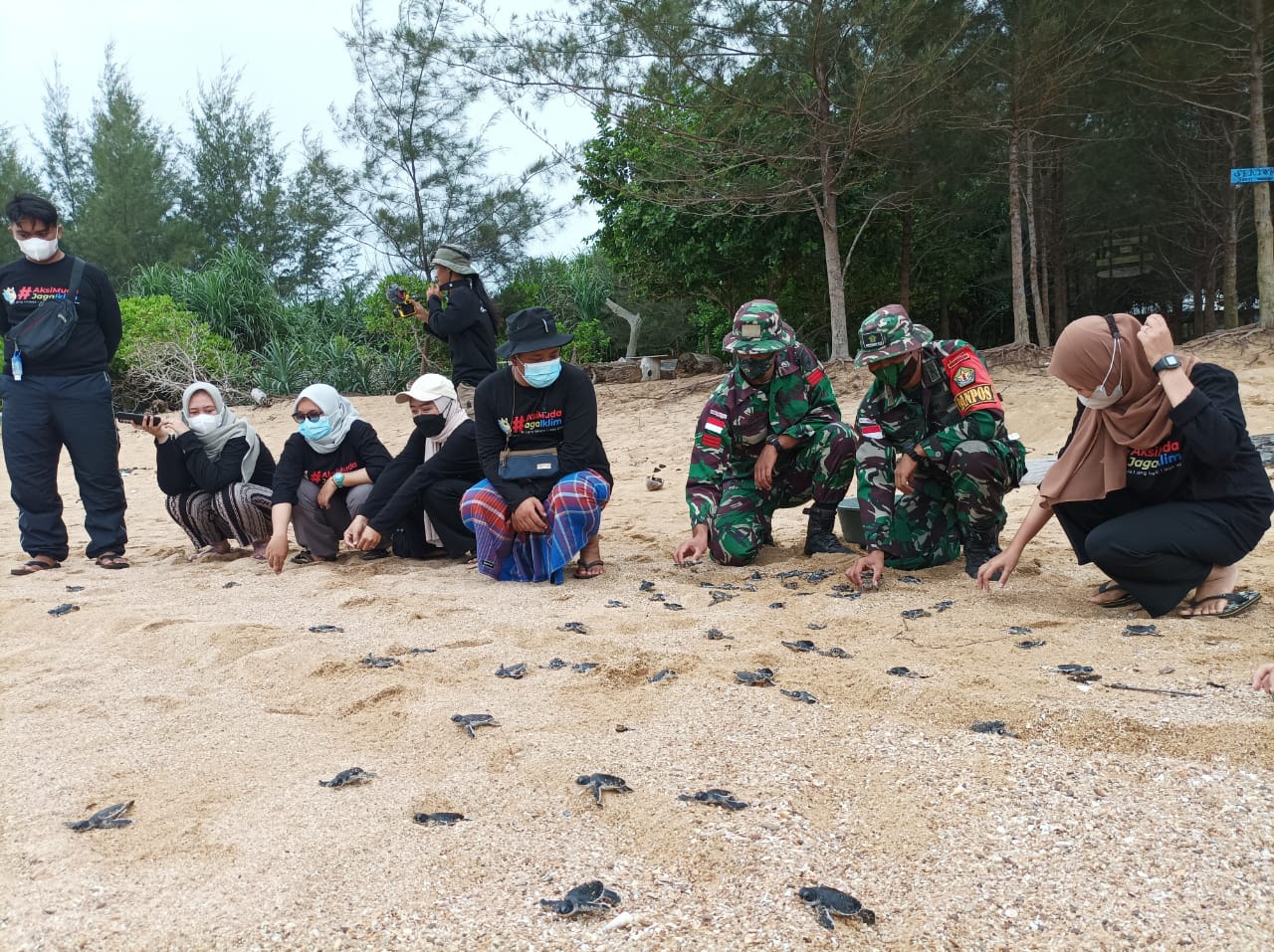 Satgas Pamtas Yonif Mekanis 643/Wns Lakukan Kegiatan Pelepasan Tukik dan Bersih Pantai Di Perbatasan