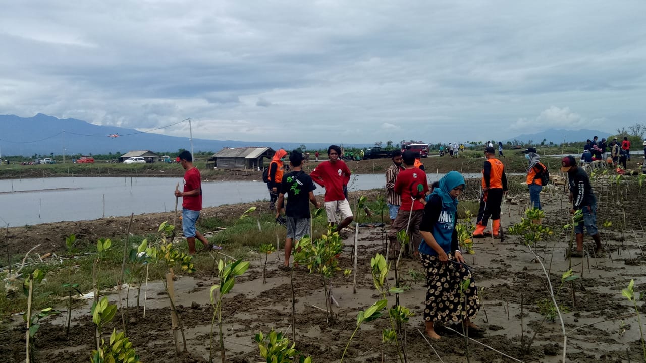 Lestarikan Ekosistem Pantai, KBP Terjun Langsung Tanam Mangrove