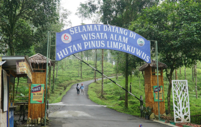 Perkembangan Potensi Hutan Pinus Lumpakuwus Sebagai Ekowisata