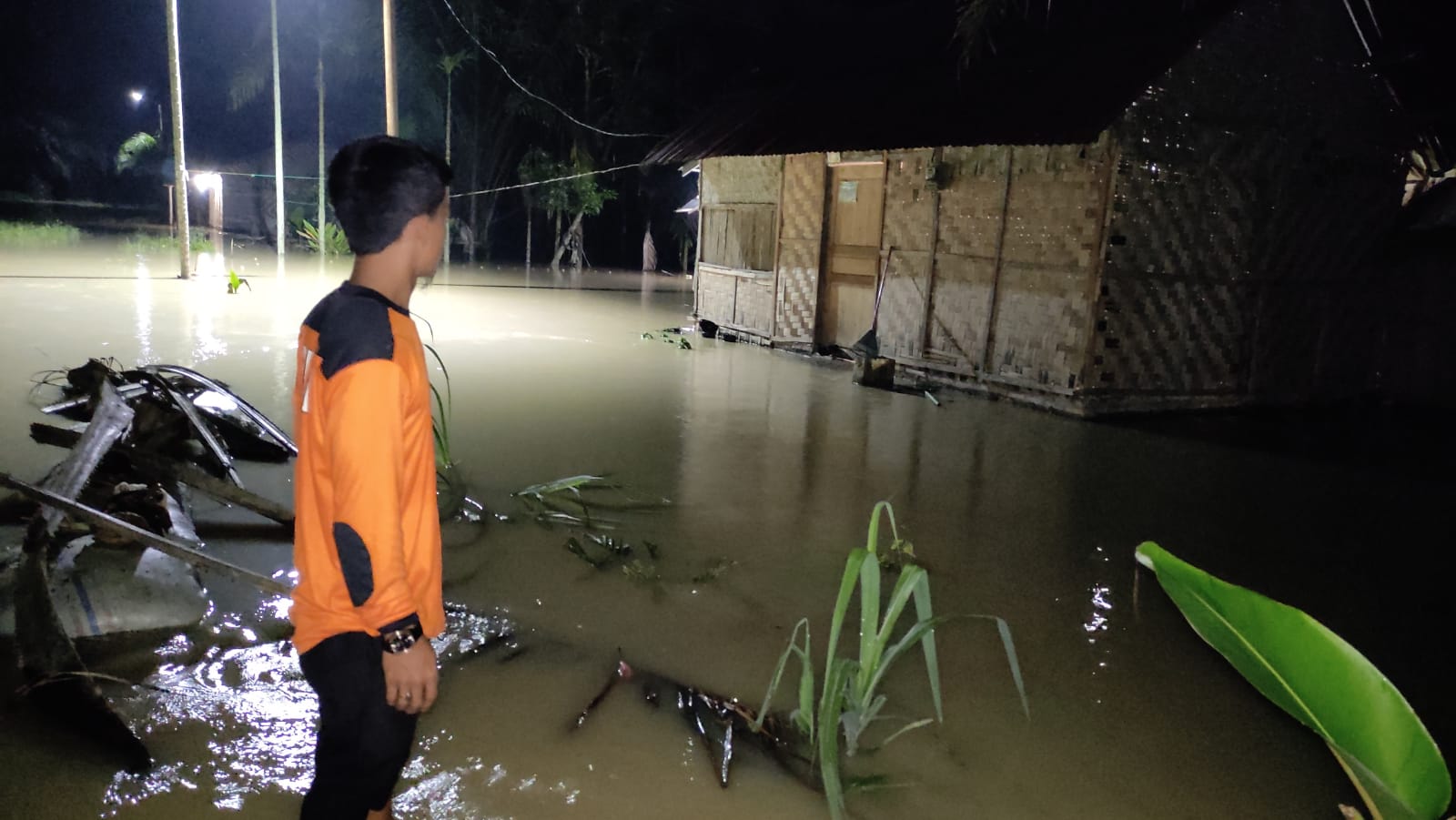 Lahan Sawah 45 Ha Terdampak Banjir di Kabupaten Batu Bara