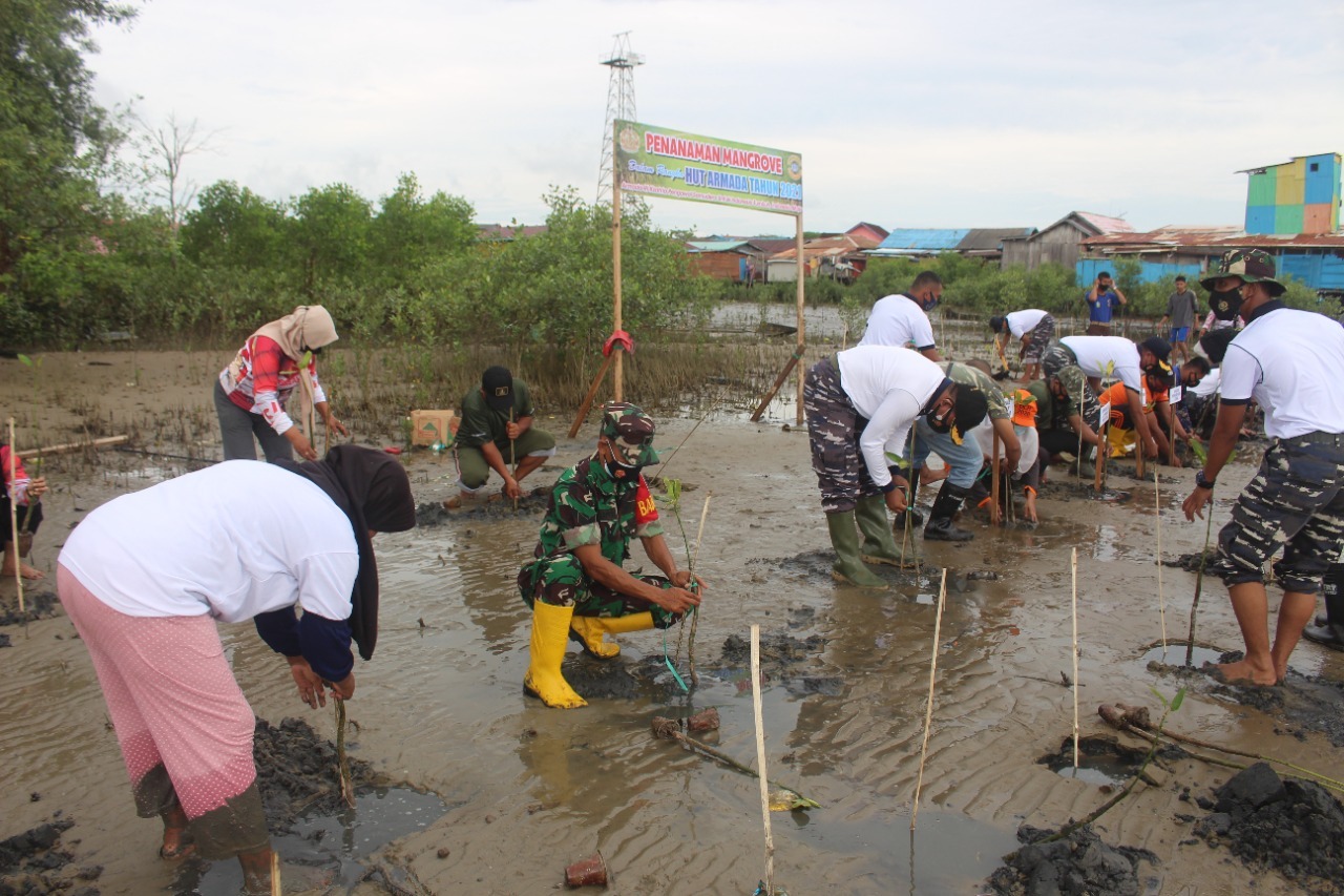 Peduli Lingkungan, Babinsa Kelurahan Penajam Tanam Mangrove di HUT Armada RI