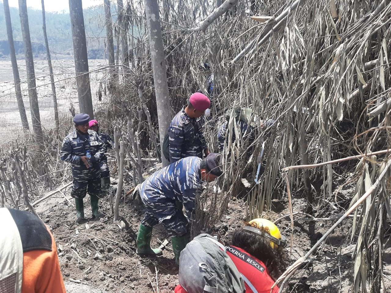 Satgas TNI AL Temukan Jenazah Korban Letusan Gunung Semeru