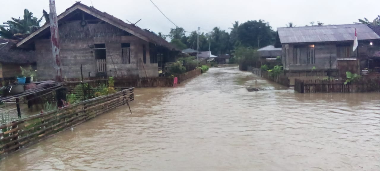 Banjir di Kepulauan Mentawai Surut, Para Pengungsi Kembali Ke Rumah