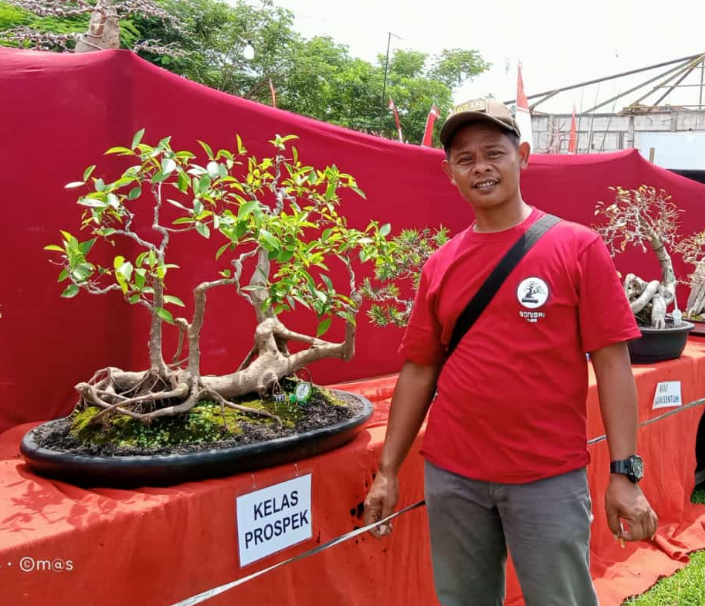 KBP Meriahkan Pameran dan Kontes Bonsai Gembong