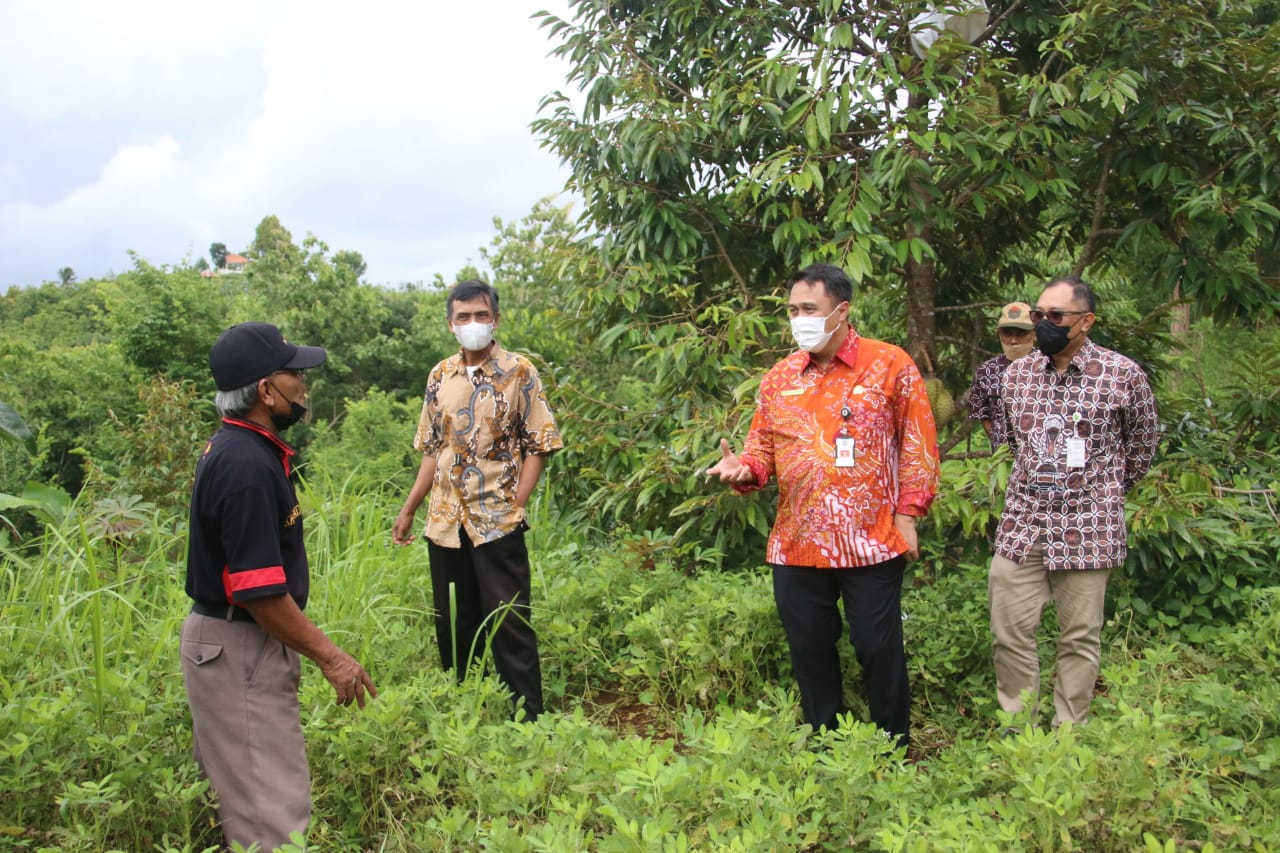 Kemendagri Akan Upayakan Ketersediaan Air di Lahan Kritis yang Dikelola Masyarakat Bantul