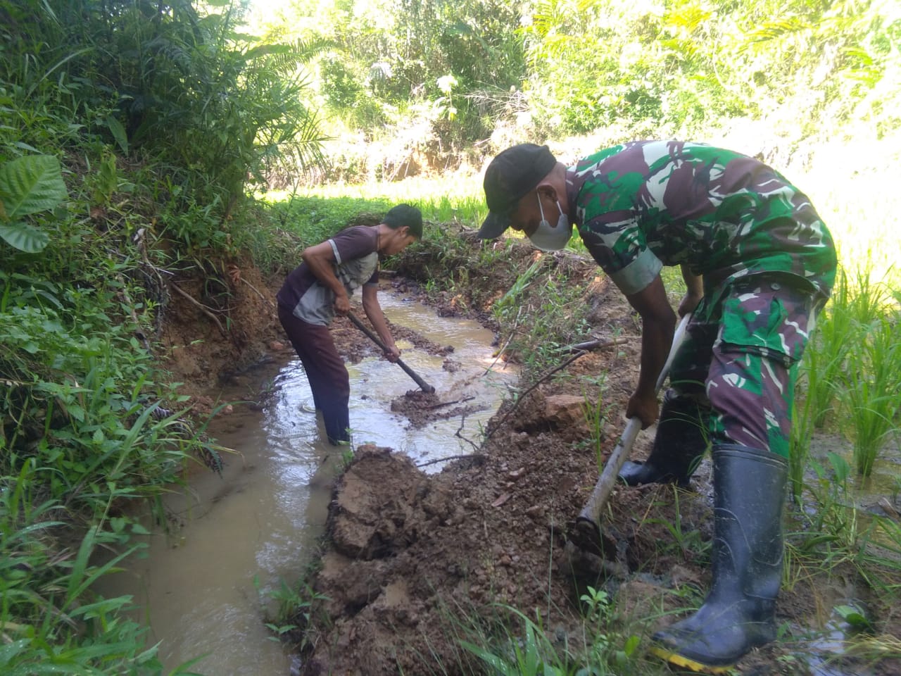 Manunggal Dengan Rakyat, Satgas Pamtas Yonif Mekanis 643/Wns Bantu Petani Bersihkan Lahan Sawah Di Perbatasan