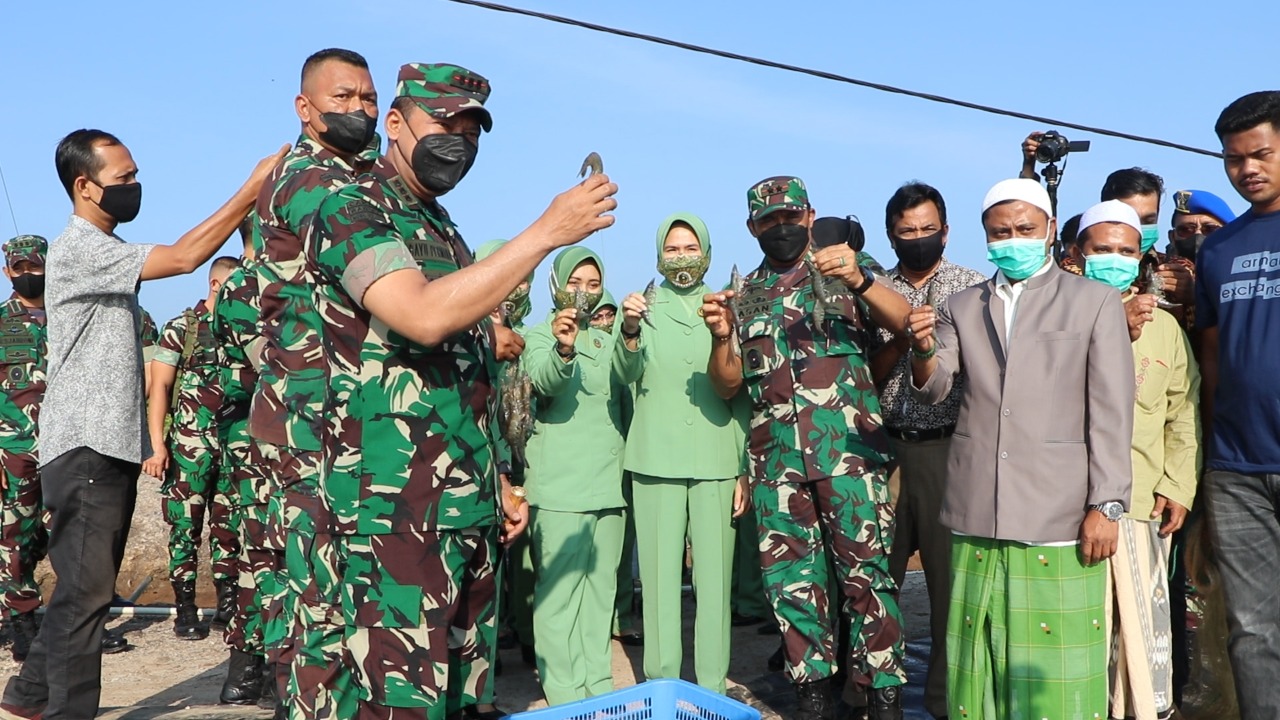 Pangdam IM Kunjungi Budidaya Udang Vaname Binaan Kodim 0104/Atim