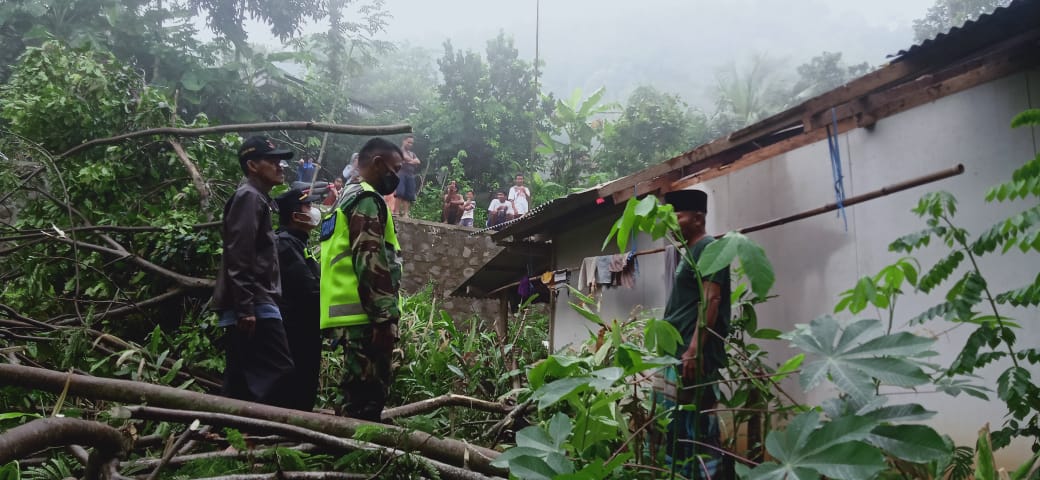 Gerak Cepat Babinsa Posramil 0806/Suruh Bantu Singkirkan Pohon Tumbang Yang Menimpa Rumah Warga