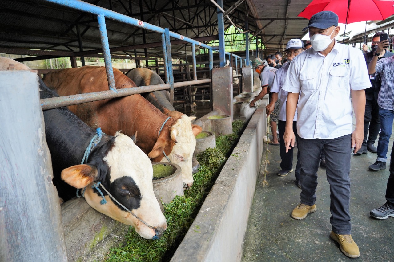 MenKopUKM Dorong Integrated Farming Perkuat Korporatisasi Petani