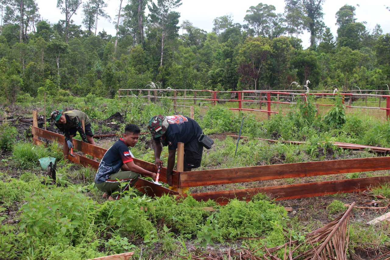 Personel Satgas TMMD ke-113 Buat Kebun Percontohan untuk Masyarakat Vyer