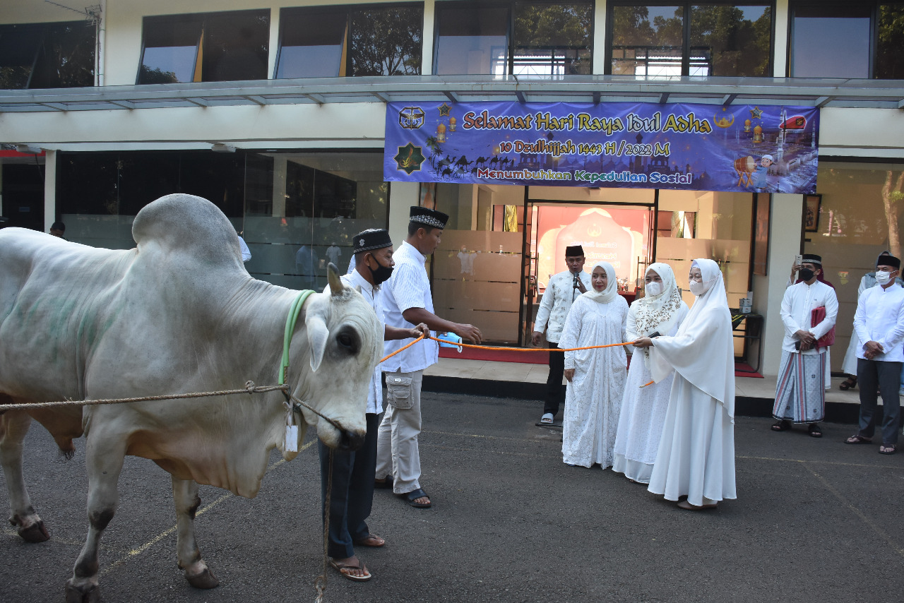 Hari Raya Idul Adha 1443 H /2022 M, Kopassus Sembelih 29 Sapi dan 77 Kambing