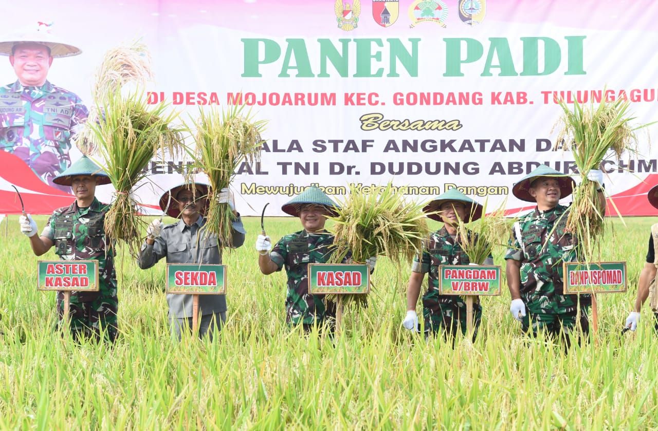 Kasad Panen Raya Padi dan Serahkan Alsintan Kepada Petani