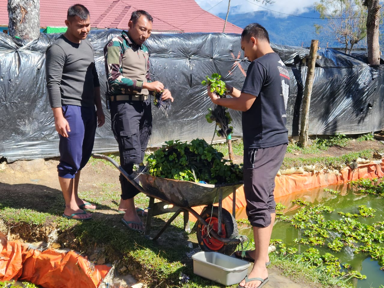 Olahan Tanaman Gulma Menjadi Makanan Rumahan oleh Ksatria Tri Dharma