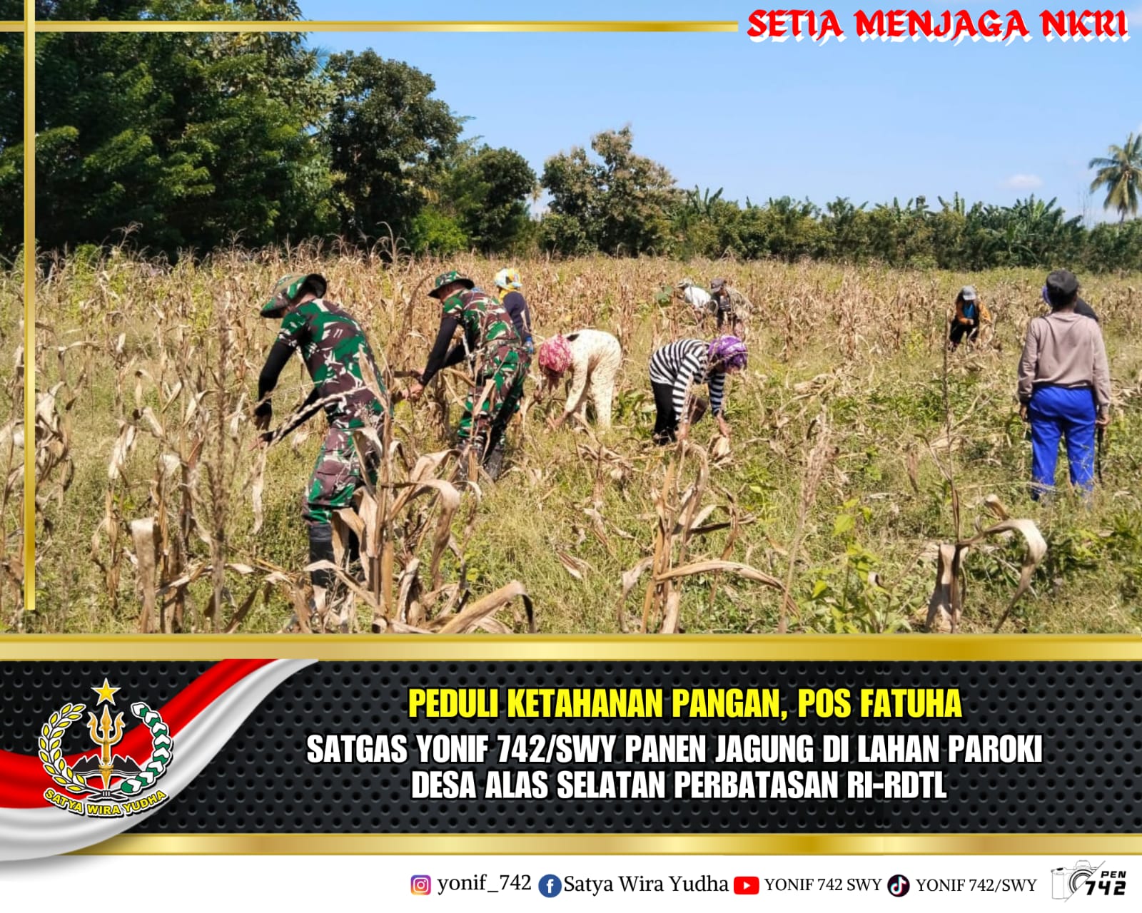 Peduli Ketahanan Pangan, Pos Fatuha Satgas Yonif 742/SWY Panen Jagung